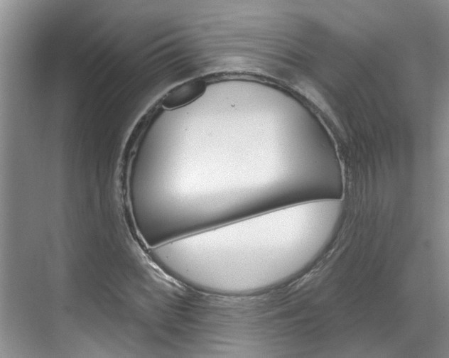 X0000071851068200606301124
