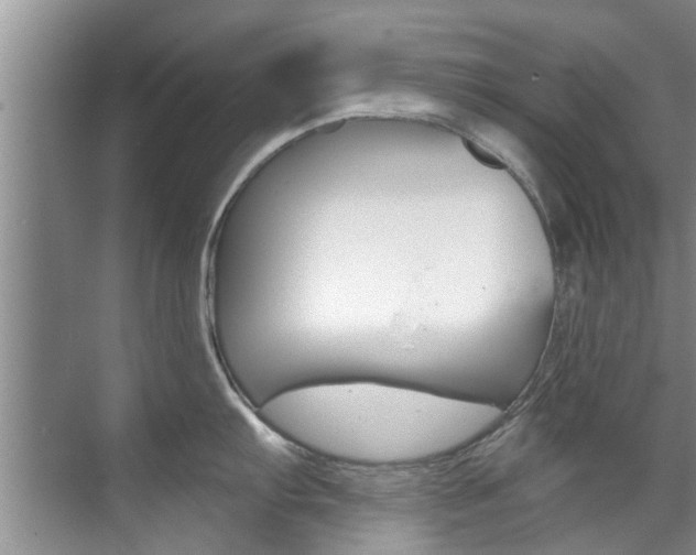 X0000071851103200606301123