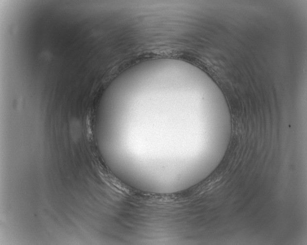 X0000071851106200606301122