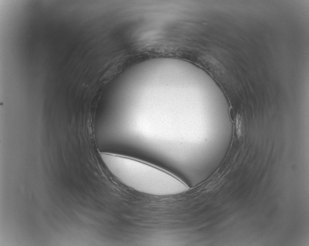 X0000071851107200606301122