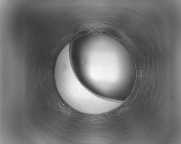 X0000071851108200606301122