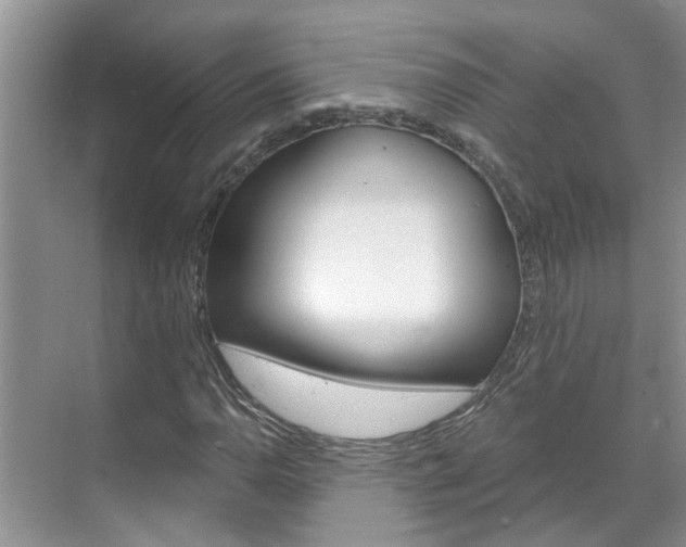 X0000071851110200606301122