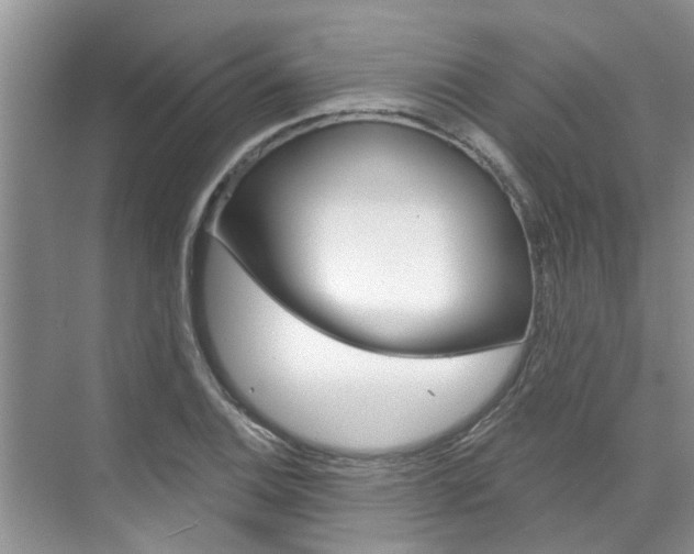 X0000071851124200606301123