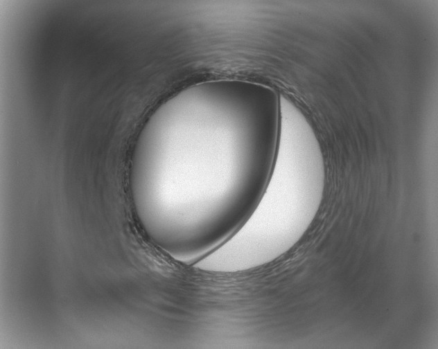 X0000071851153200606301122
