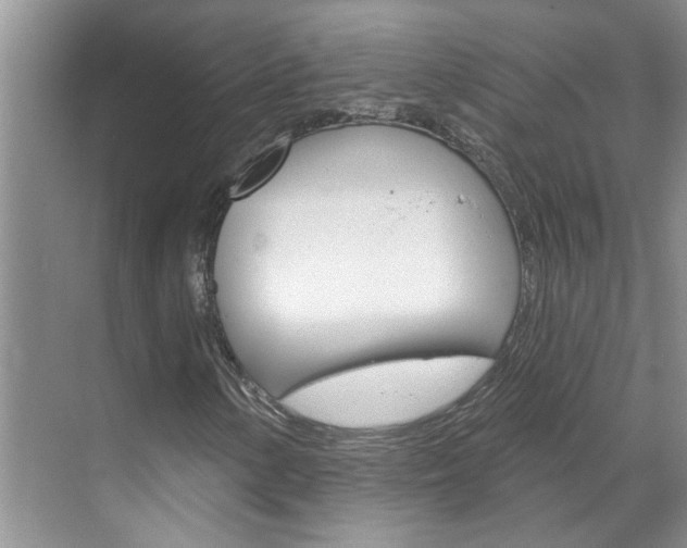 X0000071851154200606301122