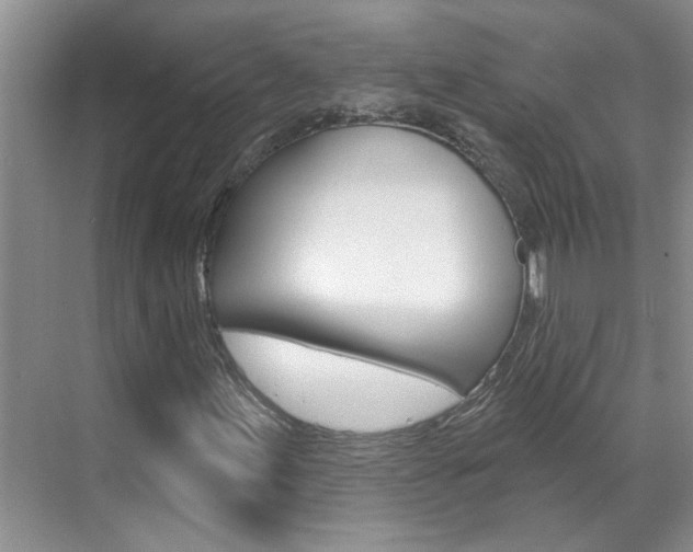 X0000071851155200606301122