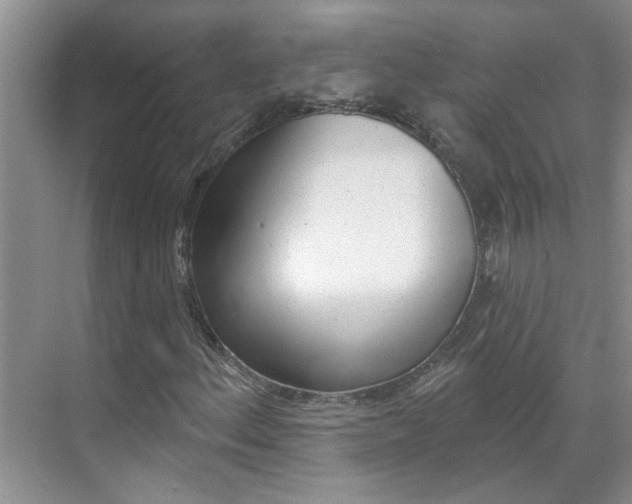 X0000071851156200606301122