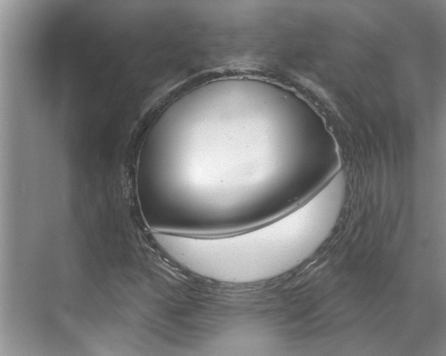 X0000071851160200606301122