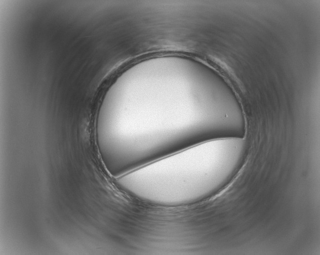 X0000071851163200606301122