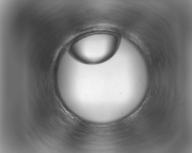 X0000071851164200606301122