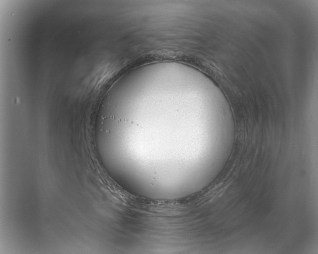 X0000071851201200606301121
