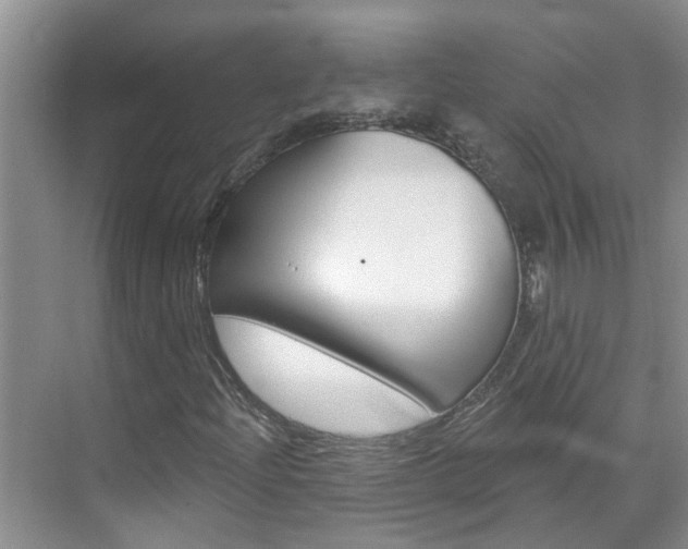 X0000071851204200606301121