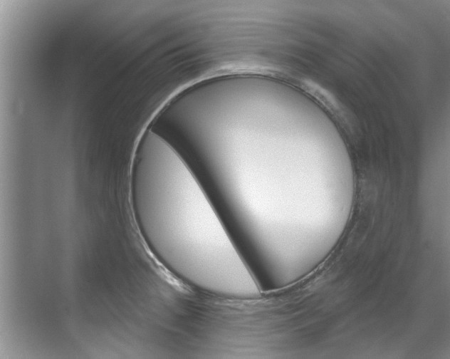 X0000071851236200606301121