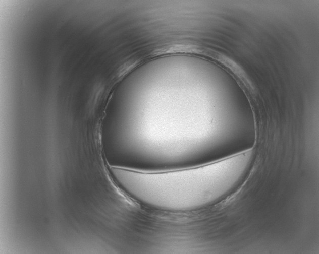 X0000071851241200606301121