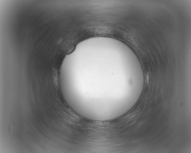 X0000071851251200606301121