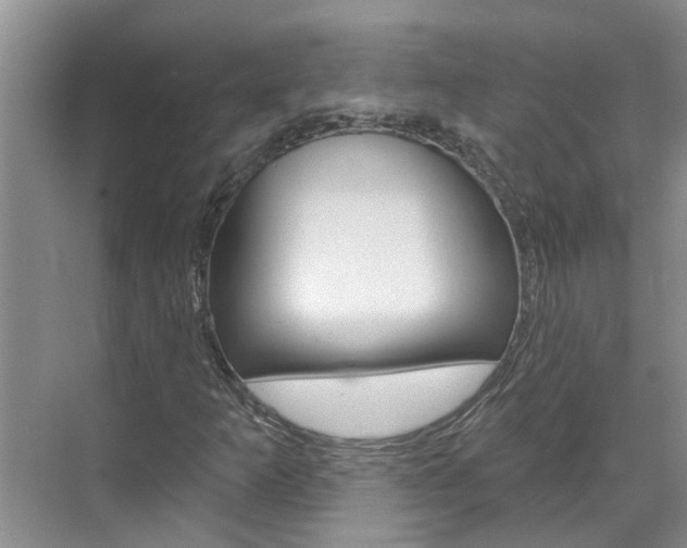 X0000071851253200606301120