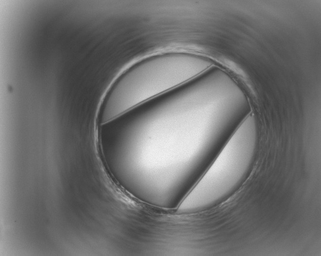 X0000071851280200606301120