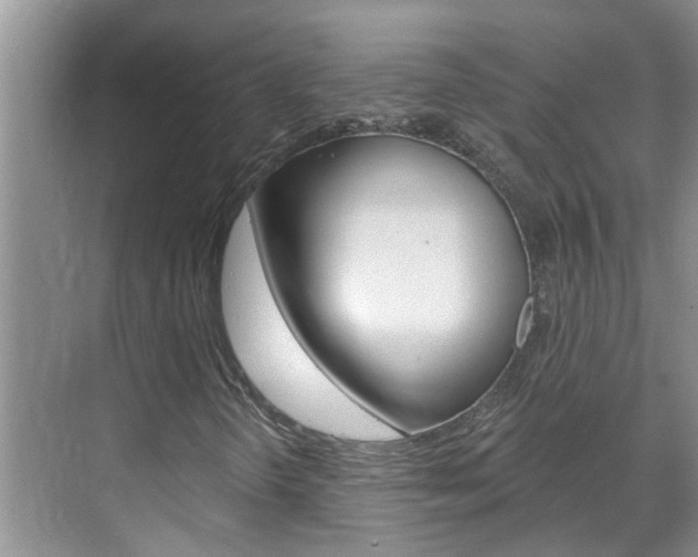 X0000071851298200606301119