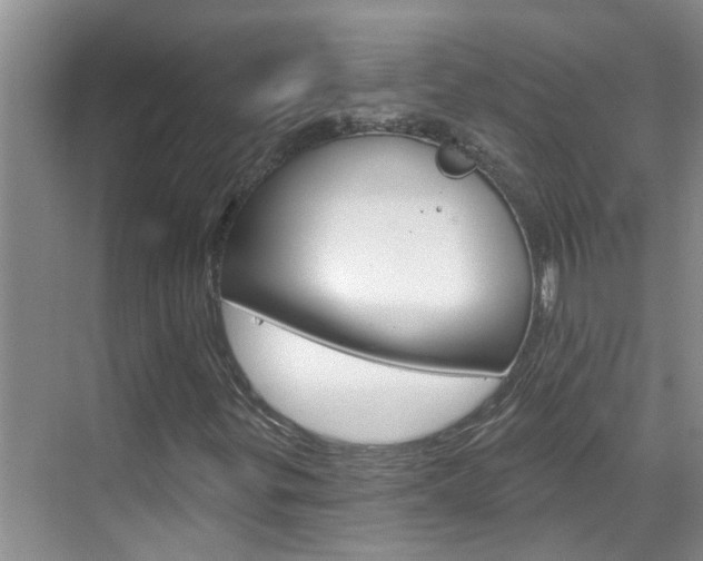 X0000071851299200606301119