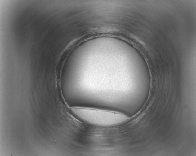X0000071851306200606301119