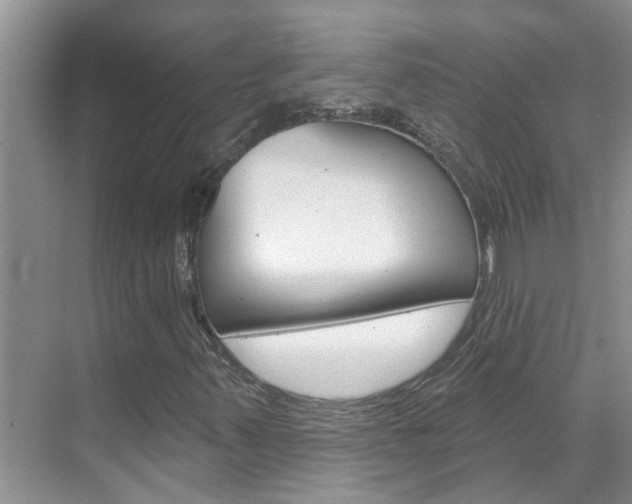 X0000071851347200606301119