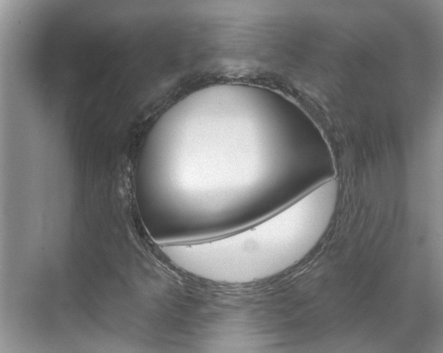 X0000071851349200606301119