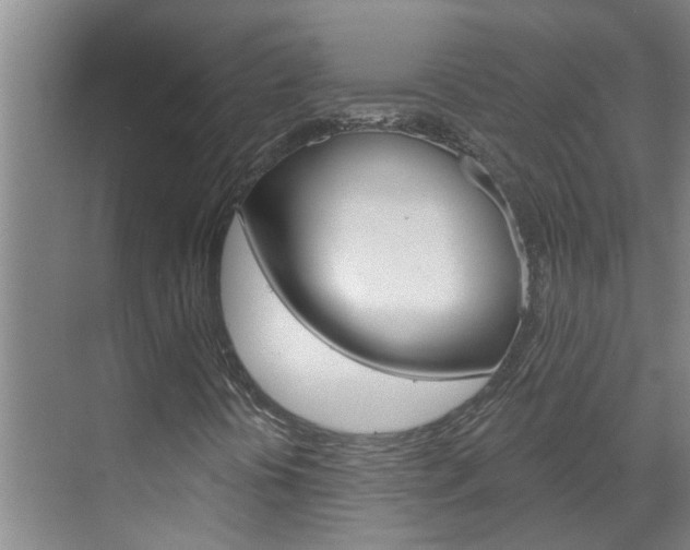 X0000071851394200606301117