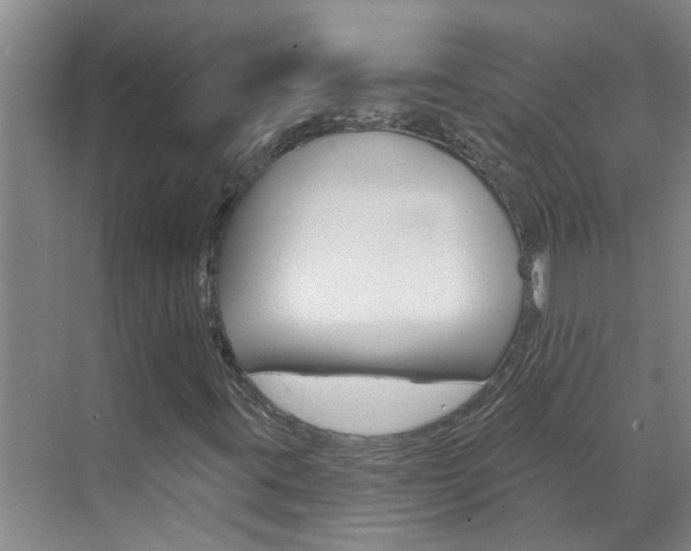 X0000071851395200606301117