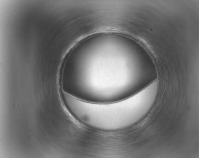 X0000071851422200606301118