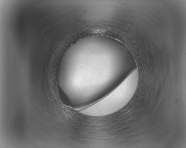 X0000071851441200606301117