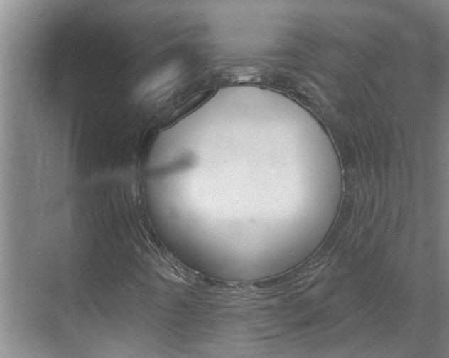 X0000071851442200606301117