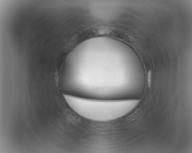 X0000071851443200606301117