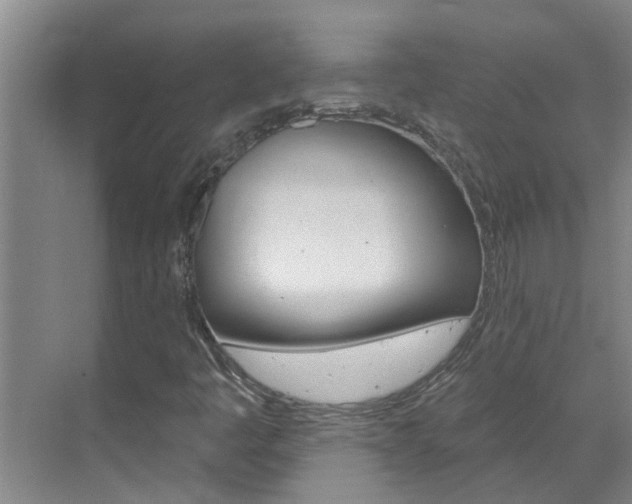 X0000071851445200606301117