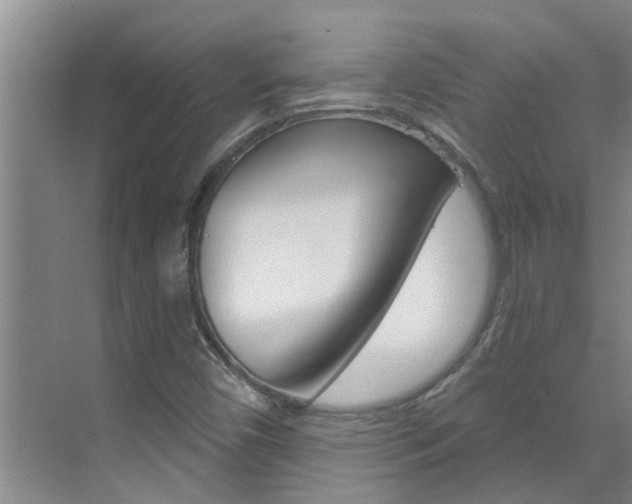 X0000071851450200606301117