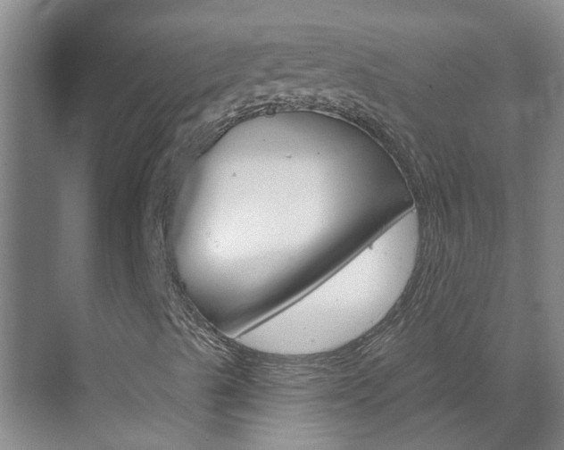 X0000071851489200606301116