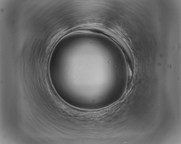 X0000071850001200606301349