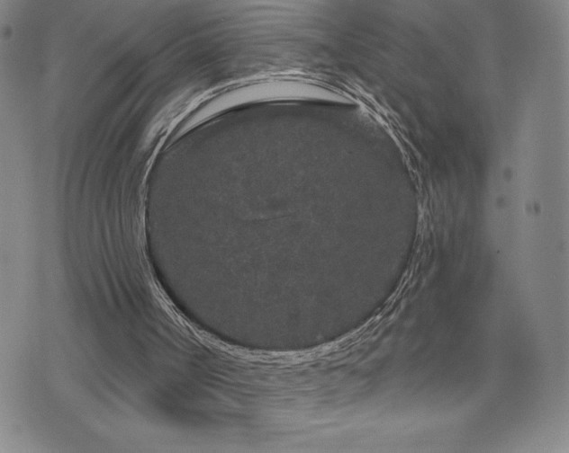 X0000071850002200606301349