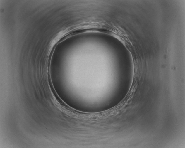 X0000071850003200606301349