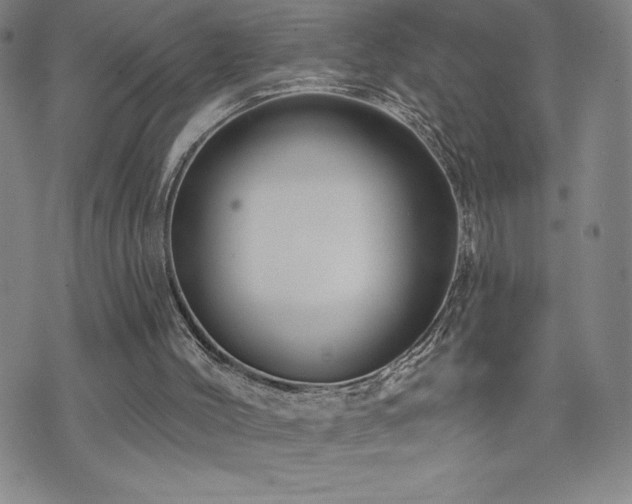 X0000071850004200606301349