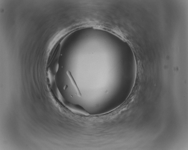 X0000071850007200606301349