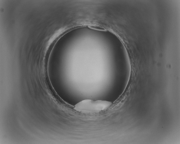 X0000071850008200606301349