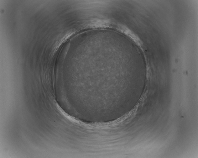 X0000071850009200606301349