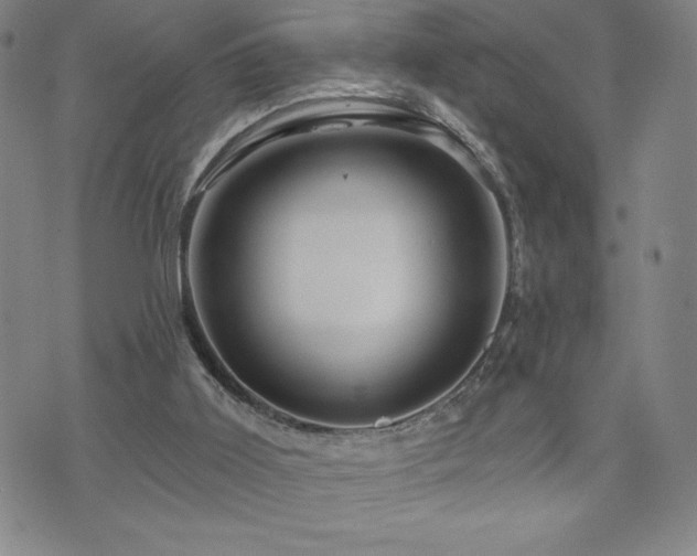 X0000071850011200606301348