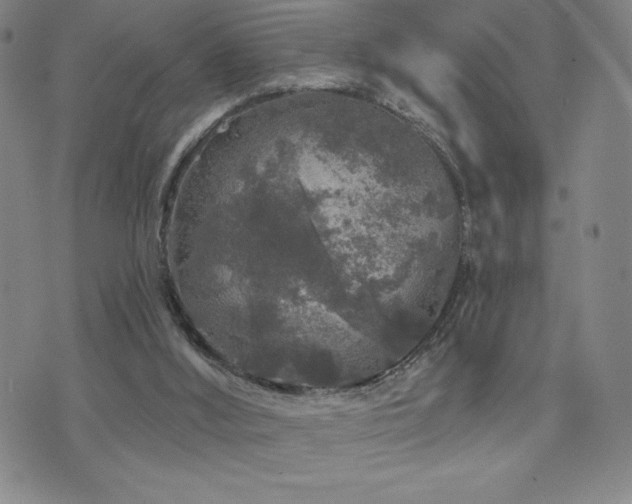 X0000071850012200606301348