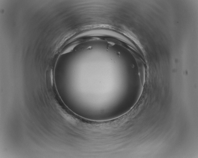 X0000071850013200606301348