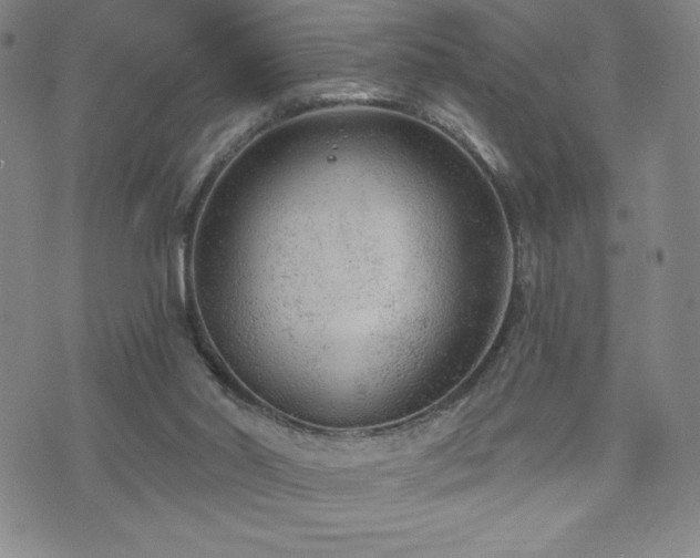 X0000071850014200606301348