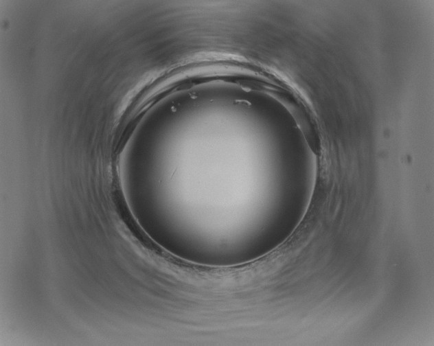 X0000071850015200606301348