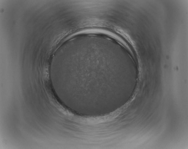 X0000071850017200606301348