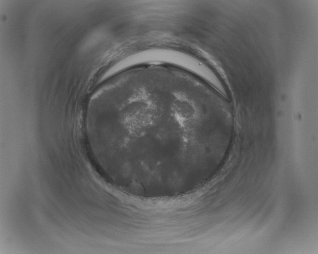 X0000071850018200606301348