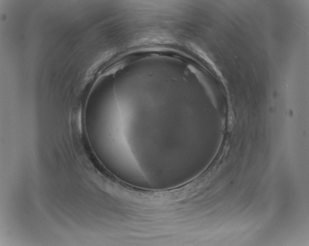 X0000071850019200606301348